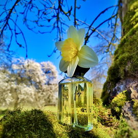Fidji (2003) (Eau de Toilette) - Guy Laroche