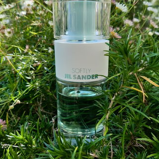 🍂🌞🥰💙 Der Sommer sagt leise Servus. Das Foto habe ich vor einer Woche geknipst, da hatte es am Vormittag über 20 Grad im Plus. Ich wünsche Euch einen goldenen Herbst und freue mich sehr über Euren Besuch. Danke. Lg Kailani💙🥰🍂🌞