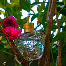 L'Eau Jolie - Lolita Lempicka