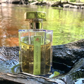 Wackelwasser Dark - Wackelwasser