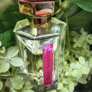 Œillet Sauvage - L'Artisan Parfumeur