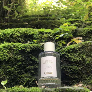 Vanilla Planifolia - Chloé