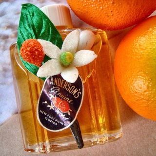 Orange Blossom Perfume / Genuine Orange Blossom by Anderson's