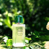 .... auf der Gartenmauer ...... grün - kühl - frisch - blumig ... lecker ..... :) …. Ganz lieben Dank für Eure wunderschönen, zustimmenden Kommentare zu meiner kühlen grünen Oase -, ich freu‘ mich über jeden einzelnen sehr! :)) (by IrisNobile)