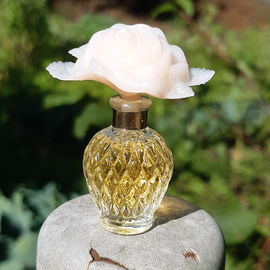 🌞🍀🥰🙋‍♀️Bevor es herbstelt und die Blätter fallen, ne kleine Blume im Spätsommer. Viele liebe Grüße und ein herzliches Dankeschön für Eure lieben Worte und Besuche. Ich freue mich sehr. 🌿🥰🙋‍♀️💙