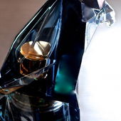 Vogel Details (by TomLavender)