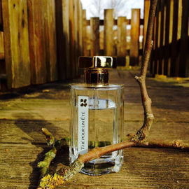 Thé Pour un Été - L'Artisan Parfumeur