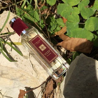 Rose Amber / Tudor Rose & Amber - Jo Malone