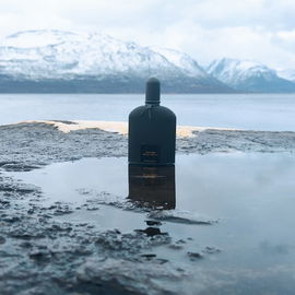 Black Orchid (2023) (Eau de Toilette) - Tom Ford