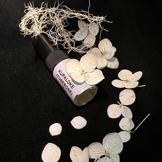 „… sie tanzt eine schillernd weiße Girlande…“ aus Floyds Rezension