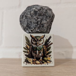 Oud Pacifidaunt / عود باسيفيدونت von Shamal Luxury