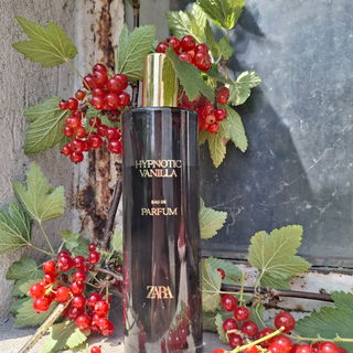 Hypnotic Vanilla by Zara