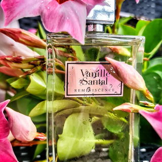 Vanille Santal - Réminiscence