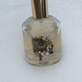 Fleur de Noël - Fleur Féerique - Yves Rocher