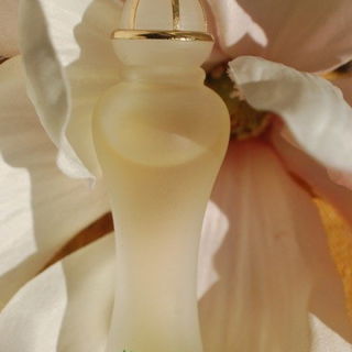 Mimmina Musk - Mimmina