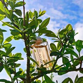 Armani (Eau Parfumée) - Giorgio Armani
