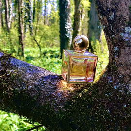 H - 100 Jubilée - Schlossparfumerie Wolff & Sohn Stuttgart