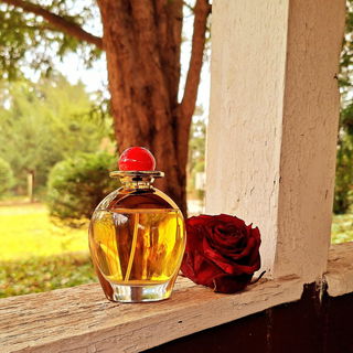 Hot (1990) (Cologne) von Bill Blass