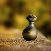 Vielen Dank für eure Kommentare und Gedanken zu Dali:) (by Scottie)