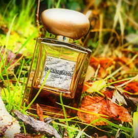 Armani Privé - Sable Or - Giorgio Armani