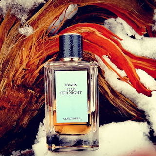 Day for Night - Prada