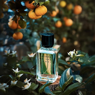 Tesoro - D:SOL MMXVI