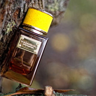 Velvet Amber Skin - Dolce & Gabbana