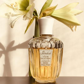 Shandoah (Eau de Toilette) - Jacques Heim