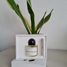 Bal d'Afrique (Eau de Parfum) by Byredo