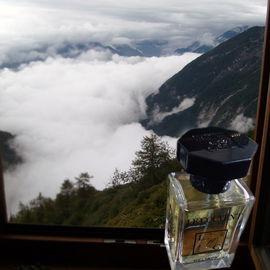 Danger Parfum Cologne - Roja Parfums