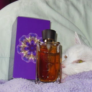 Jardin d'Iris - Sama