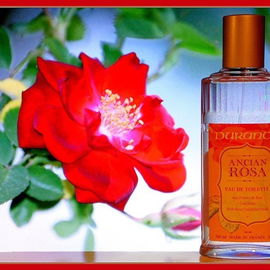 Ancian Rosa - Durance en Provence
