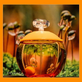 Noa Summer Edition 2012 - Cacharel