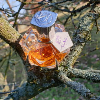 Alien Les Parfums de Cuir von Mugler