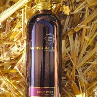 Aoud Ever by Montale