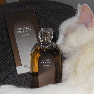 Chypre d'Orient von Molinard