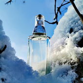 Ein schöner klarer kalter Tag. (von GreenIvy)