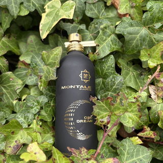 Oud Dream von Montale