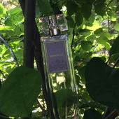 Durch die Zweige hindurch erahnt man den verbotenen garten aus meinem Kommentar (von Serafina)