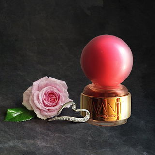 Want Pink Ginger by Dsquared²