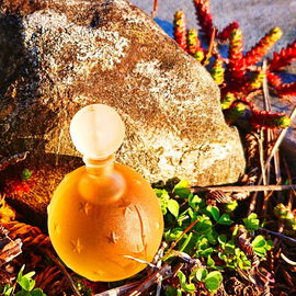 Vielen lieben Dank für Eure Besuche bei der kleinen Sonnenkugel 🧡☀️🧡