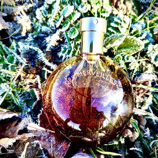 Herzlichen Dank für eure liebe Worte 🥰