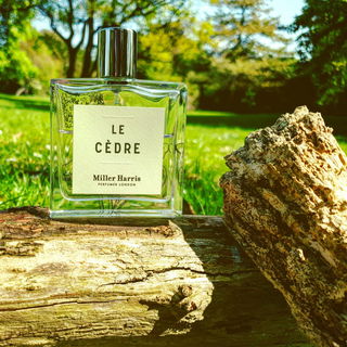 Tea for Two - L'Artisan Parfumeur