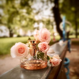Splendida - Rose Rose - Bvlgari