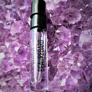 Die Höhle des Monsieur Beauregard