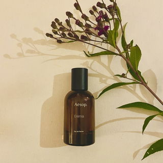 Erémia by Aēsop
