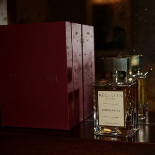 Châtelain 22 by Régalien