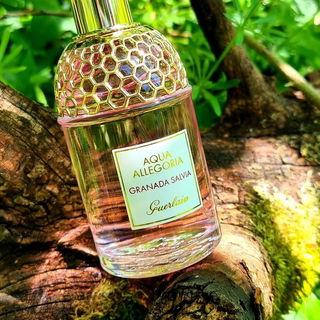 Aqua Allegoria Granada Salvia von Guerlain