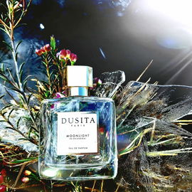 Moonlight in Chiangmai - Dusita