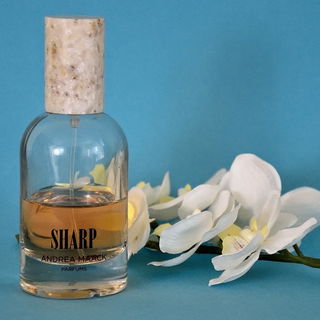 Sharp von Andrea Maack